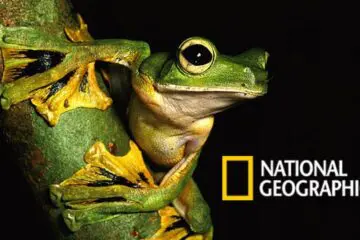 Best Nature Magazine