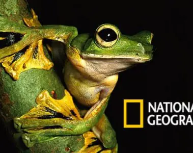 Best Nature Magazine