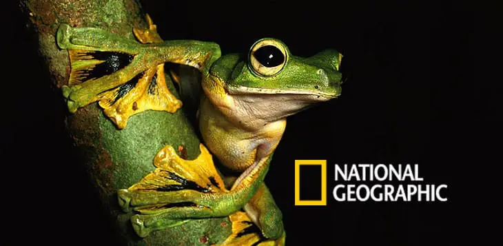 Best Nature Magazine