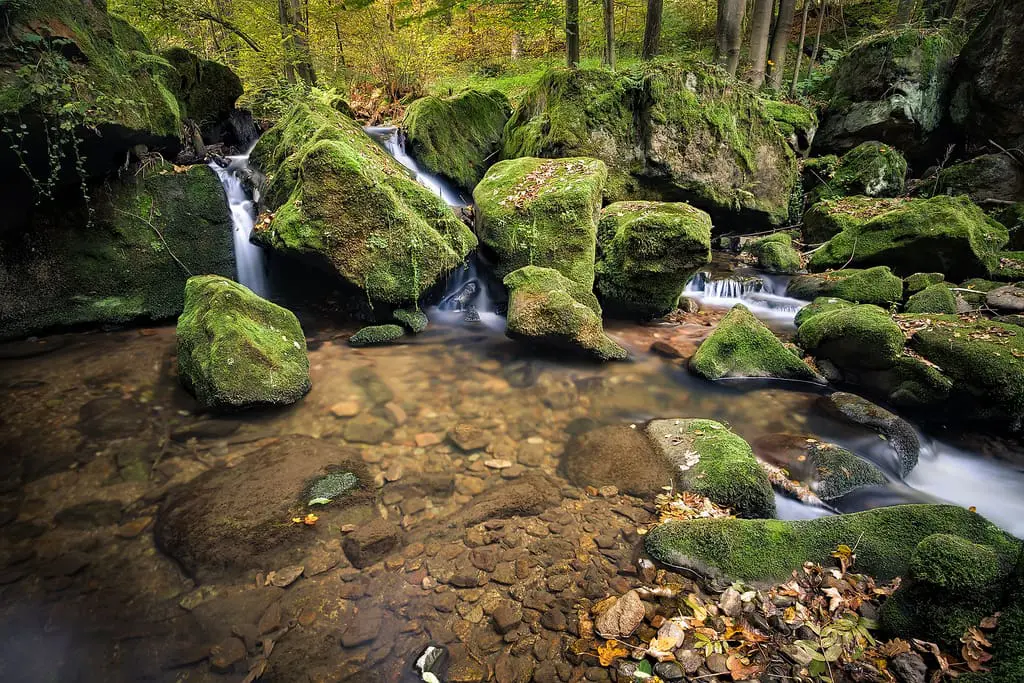 Best Photo Sharing Site Top 12 Photos: Untitled