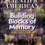 Scientific American Cover February 2012