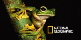 Best Nature Magazine